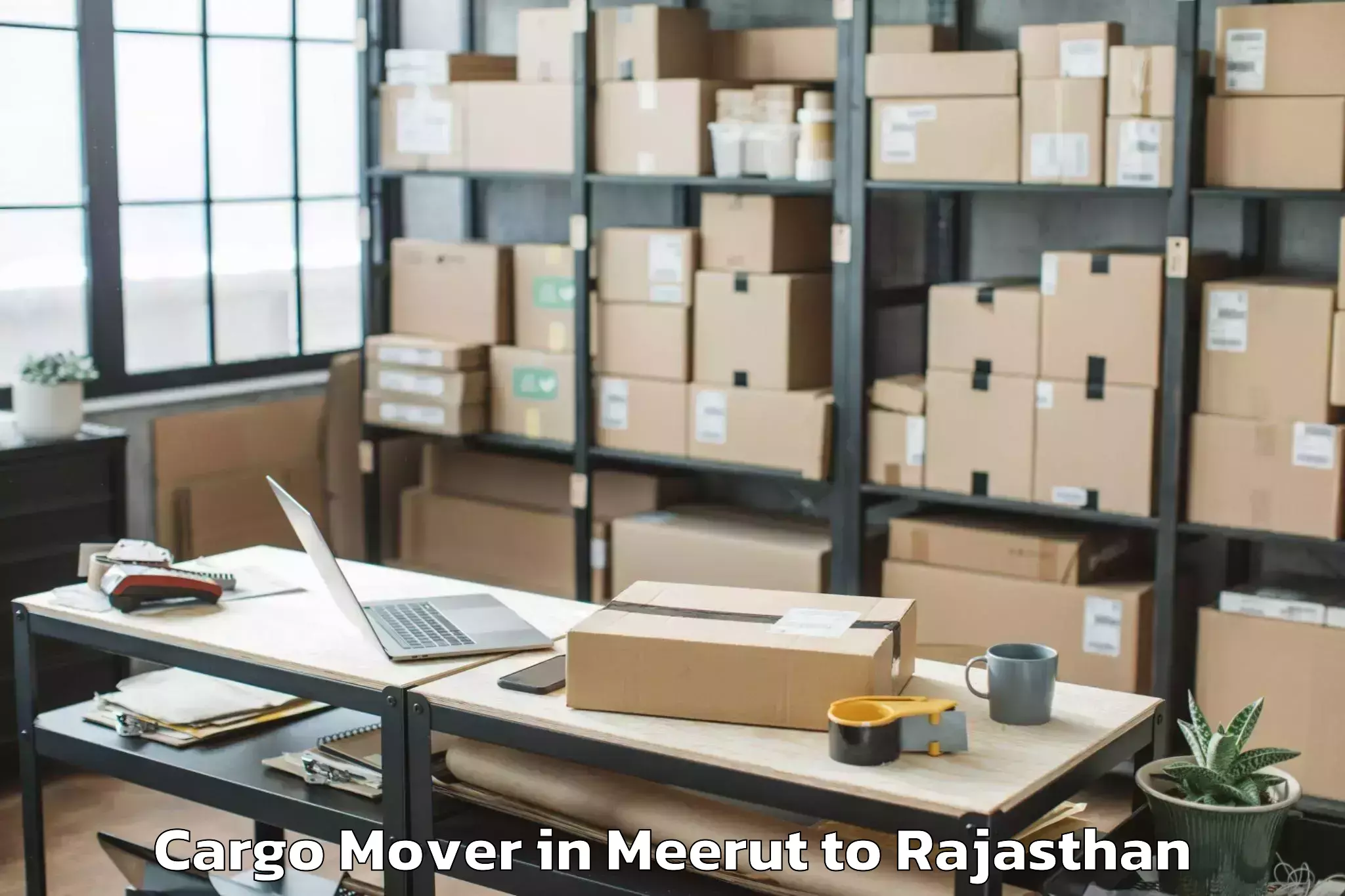 Expert Meerut to Bari Dholpur Cargo Mover